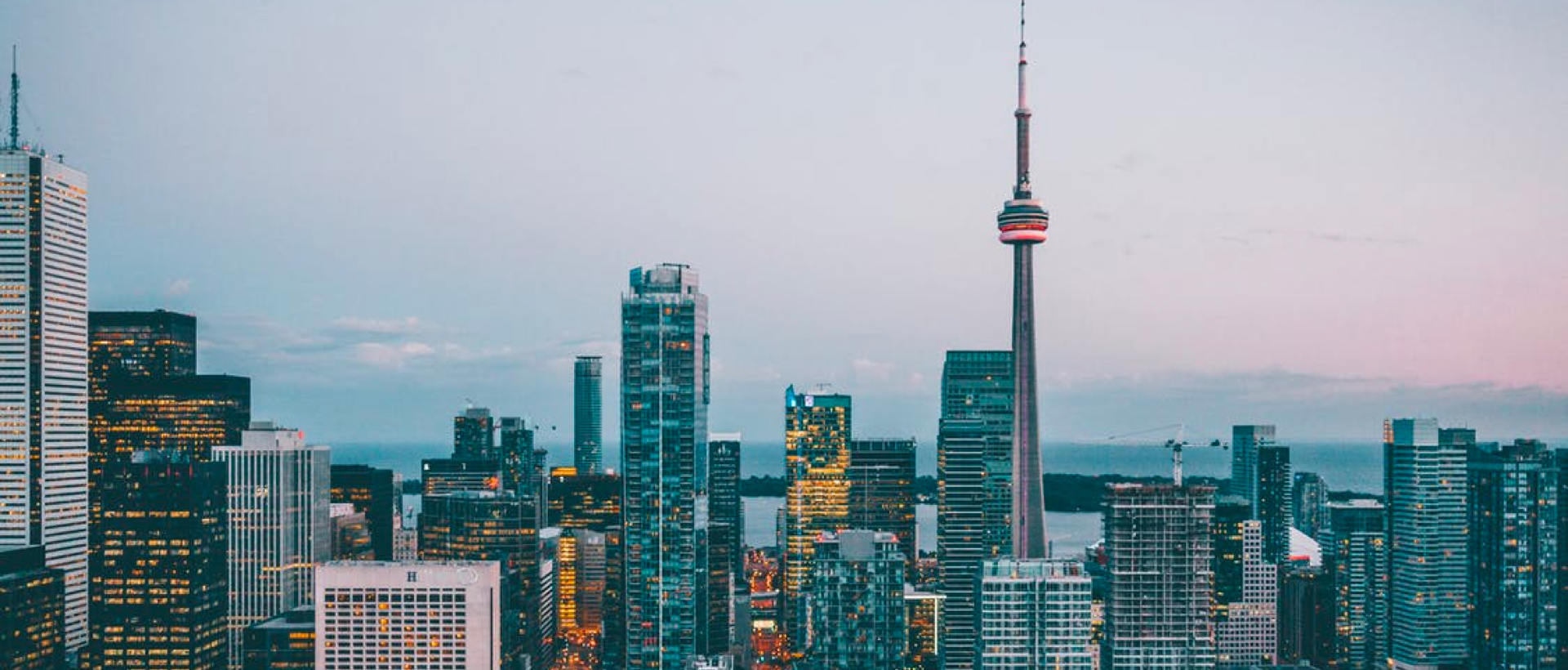 نتائج البحث